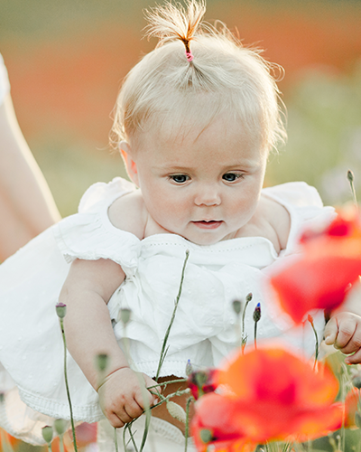 paul de pierre fête privée fête de naissance